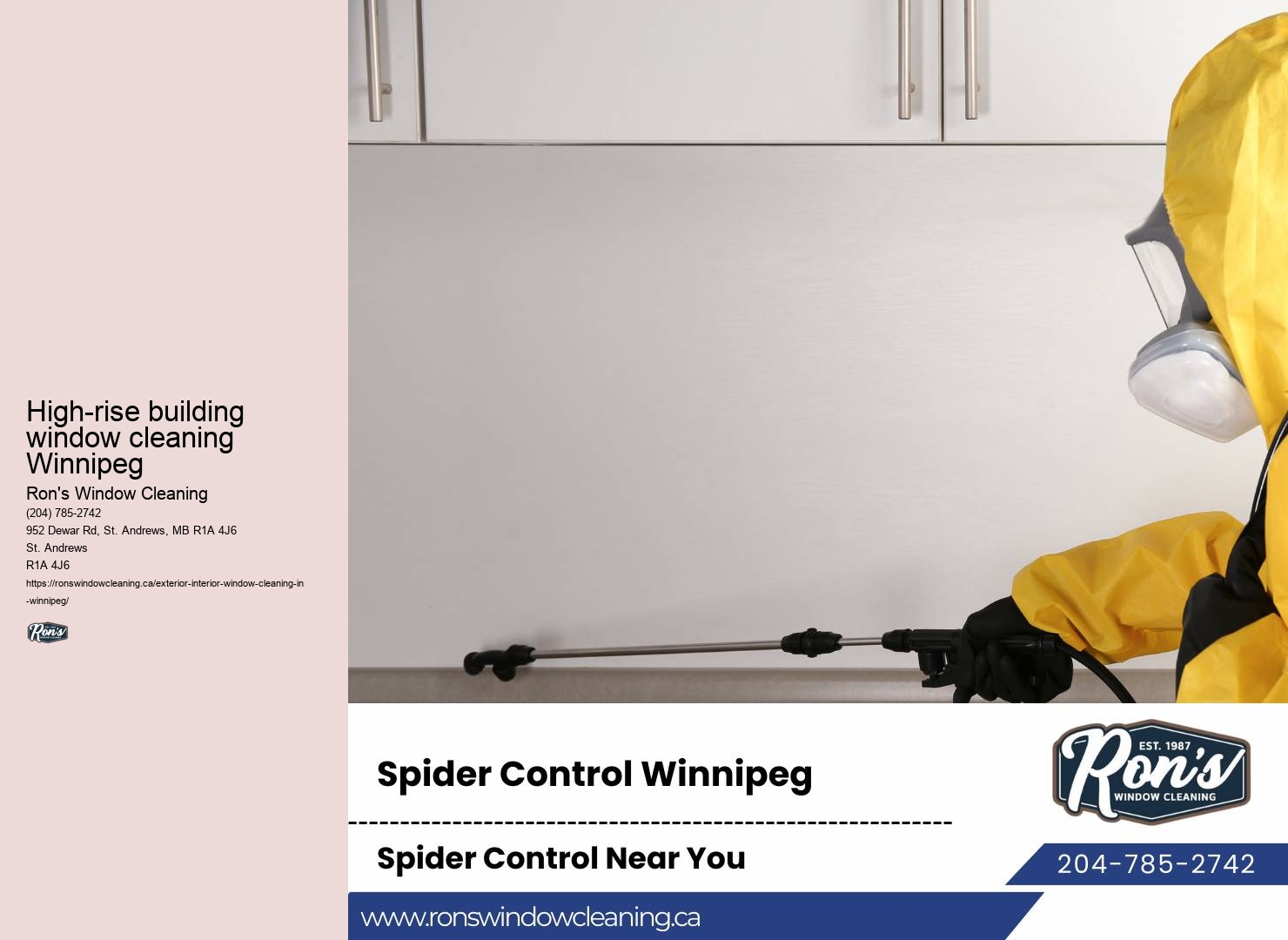 Reliable window cleaning solutions Winnipeg