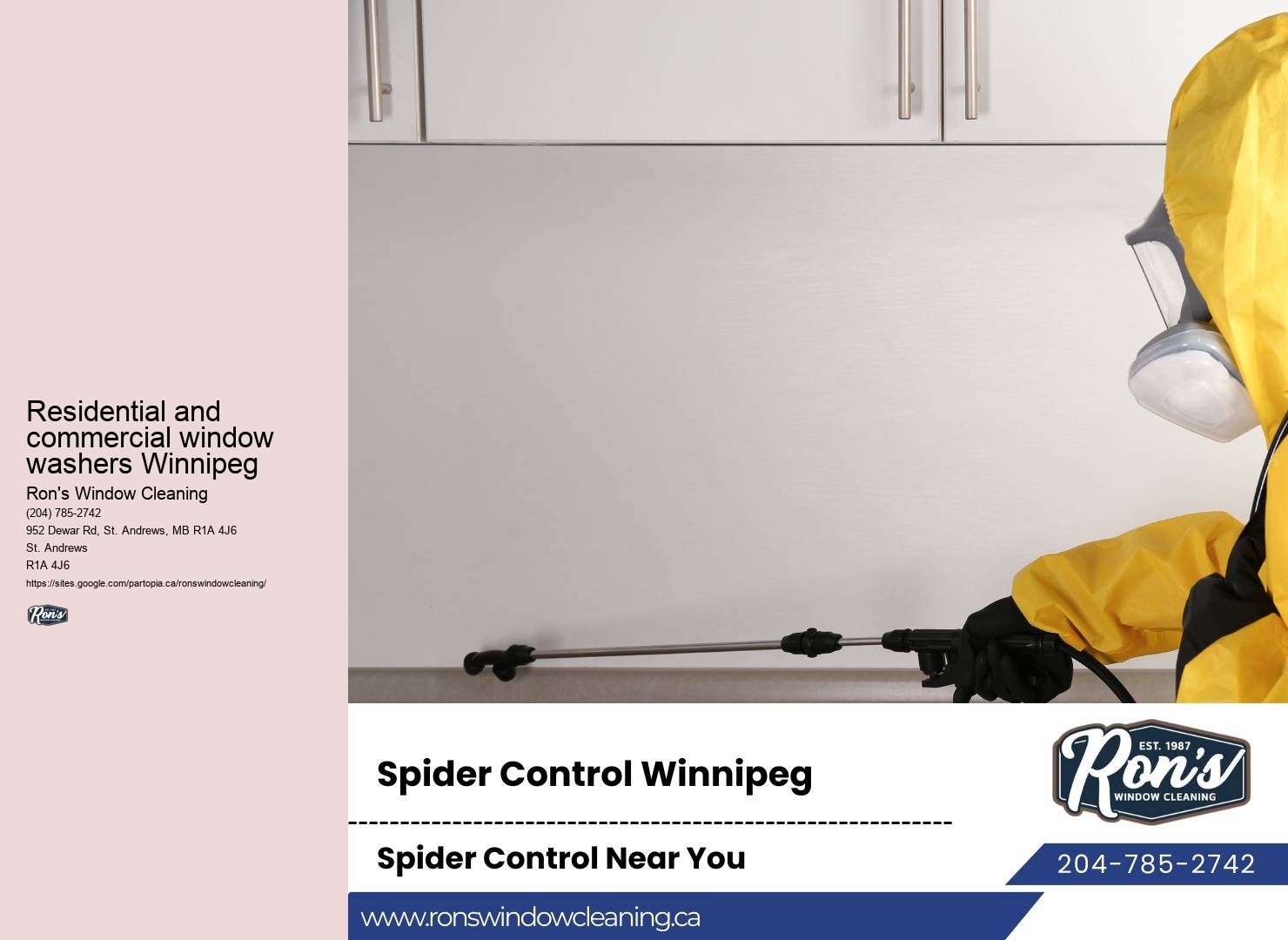 Eco-friendly window cleaning solutions Winnipeg