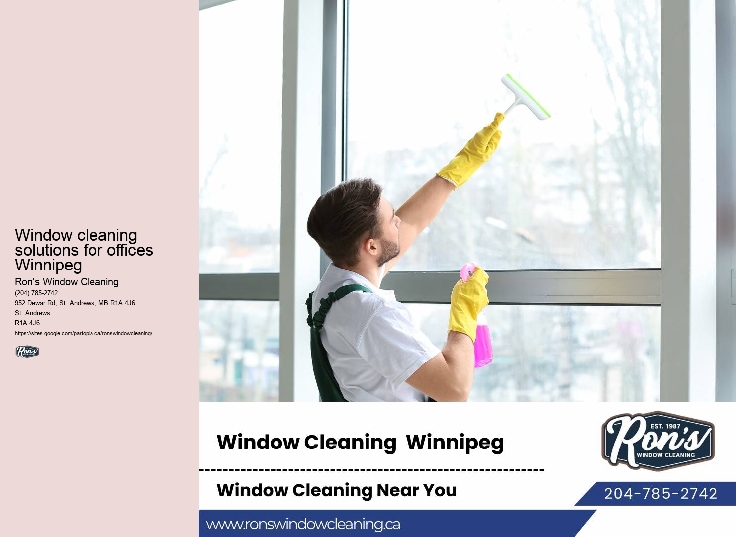 Trusted window cleaning professionals