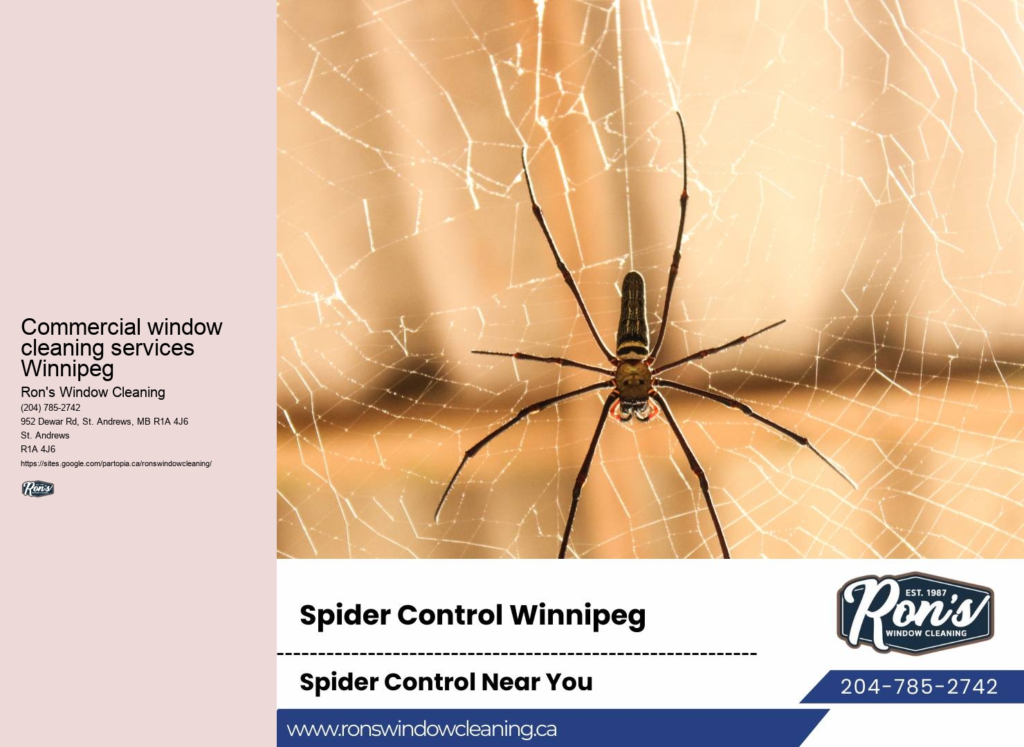 Winnipeg window cleaning and maintenance