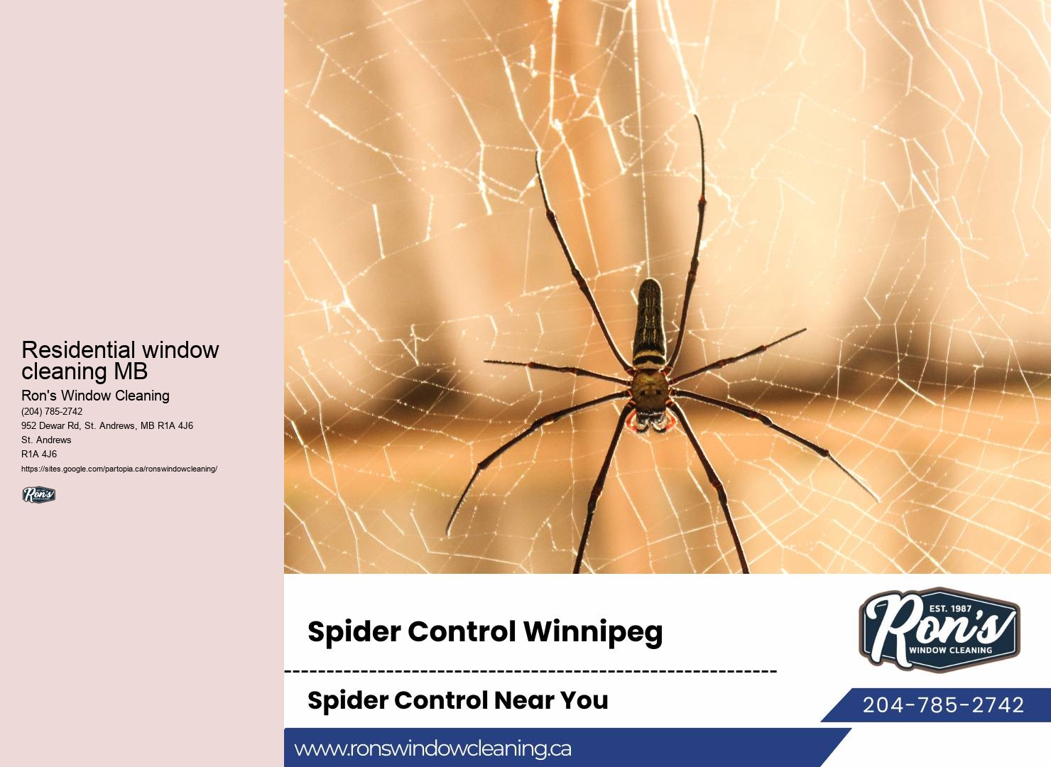 Winnipeg window washing packages