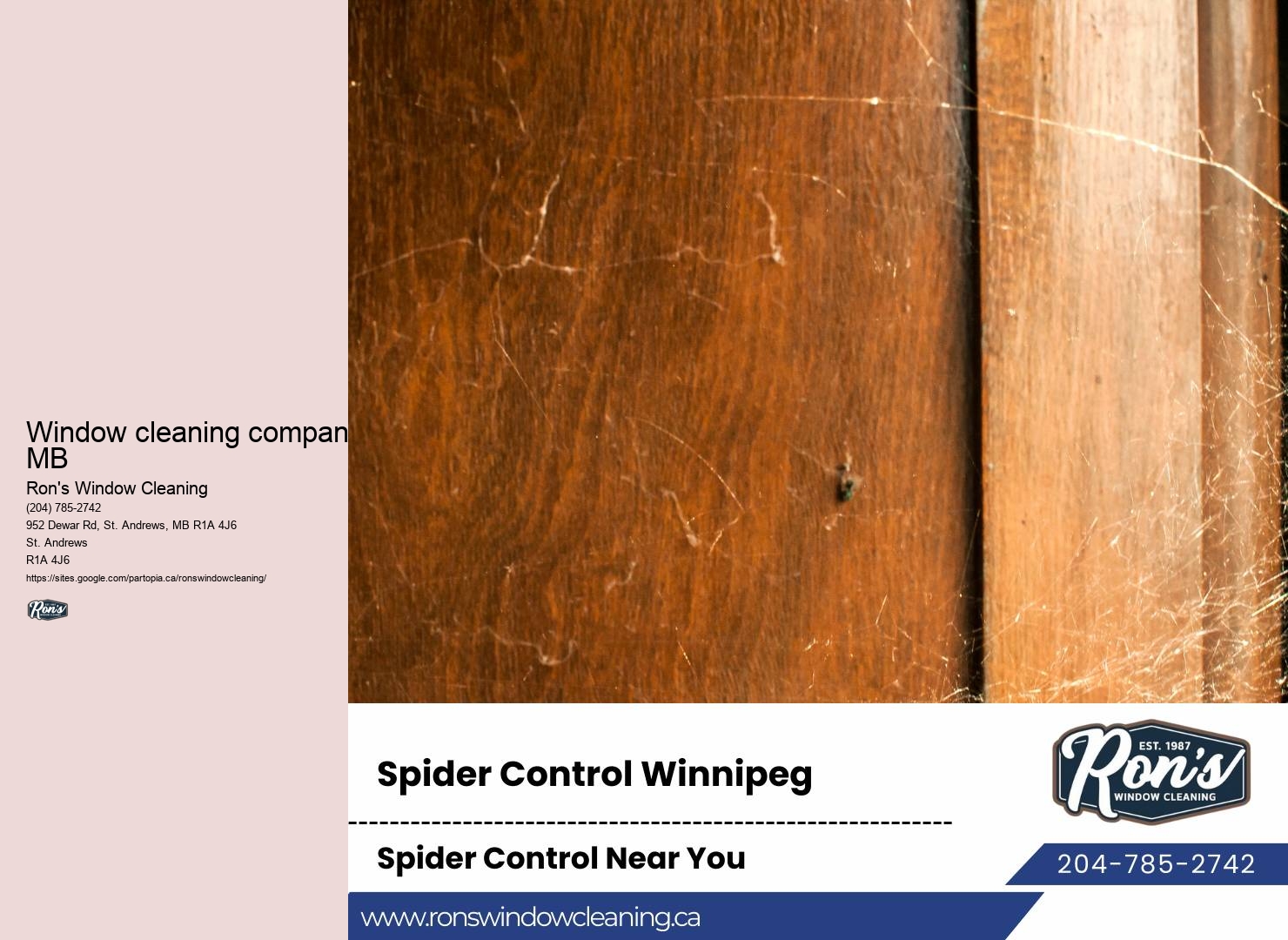 Window cleaning professionals Winnipeg