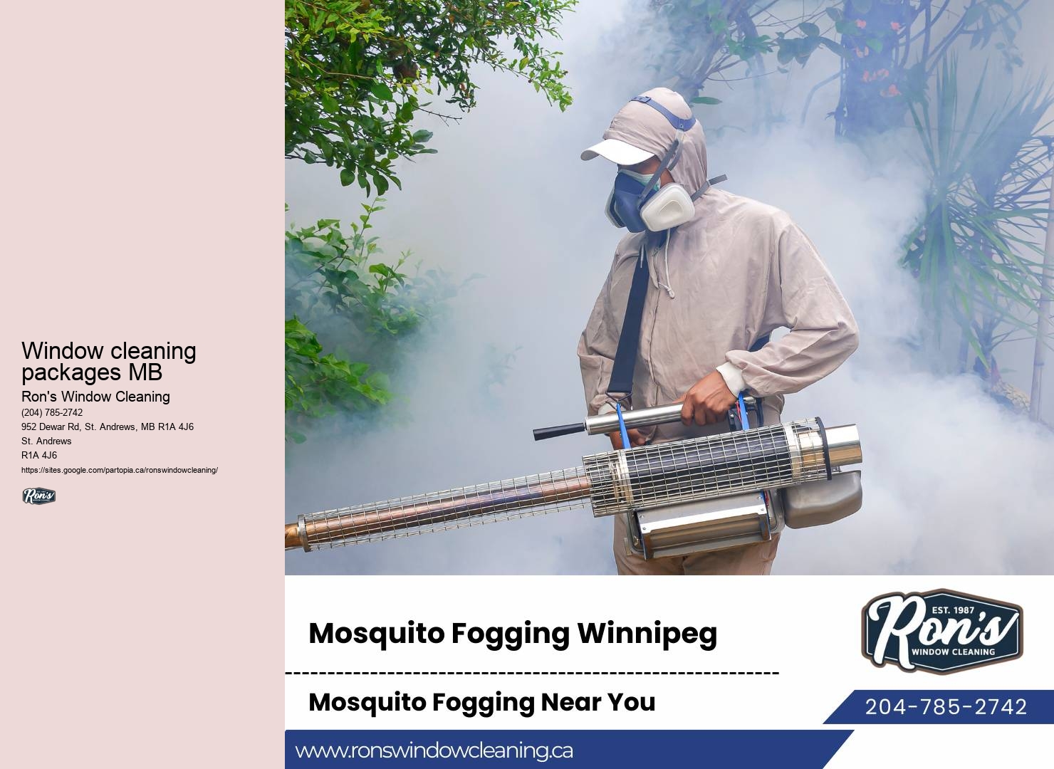 Quality window washing services