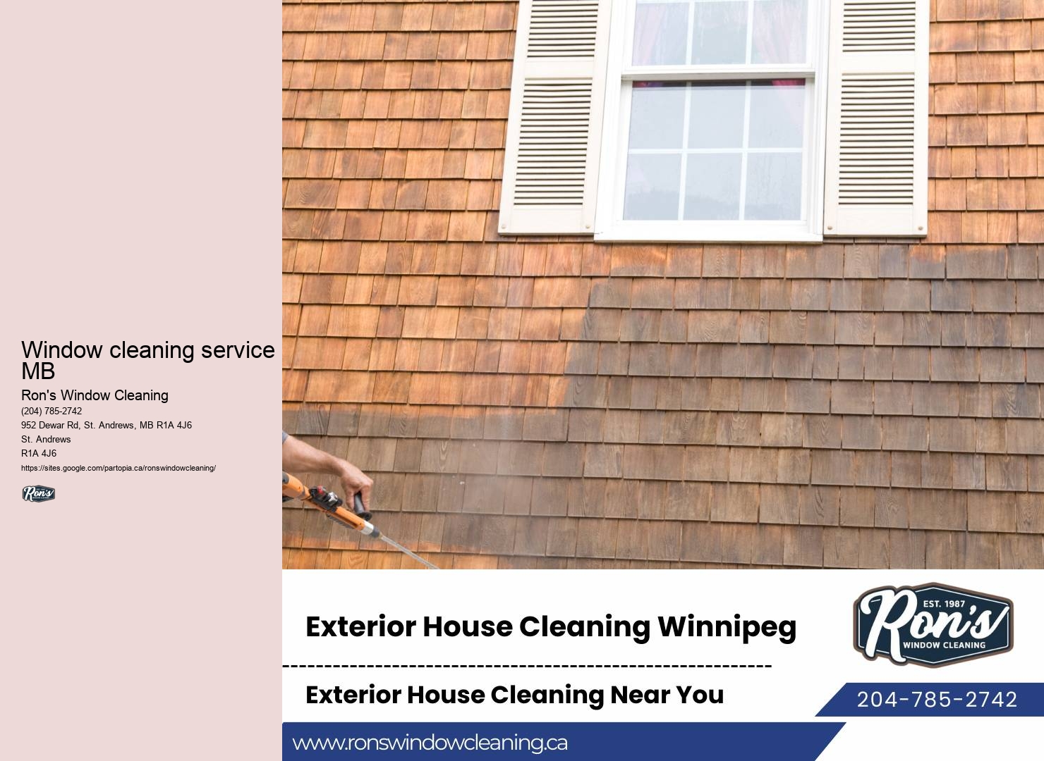 Winnipeg window washers