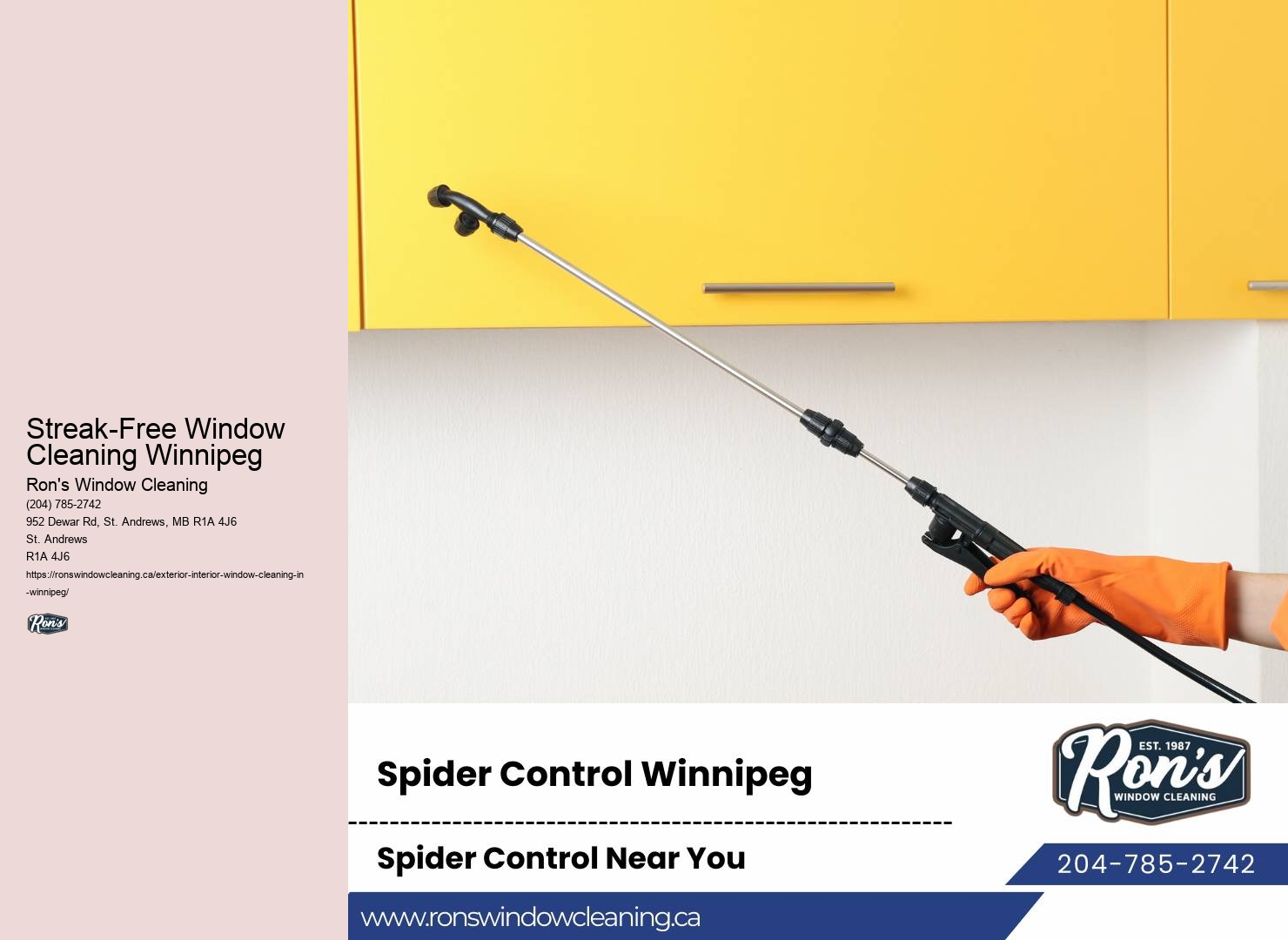 Window Washing Technicians Streak-Free Window Cleaning Winnipeg