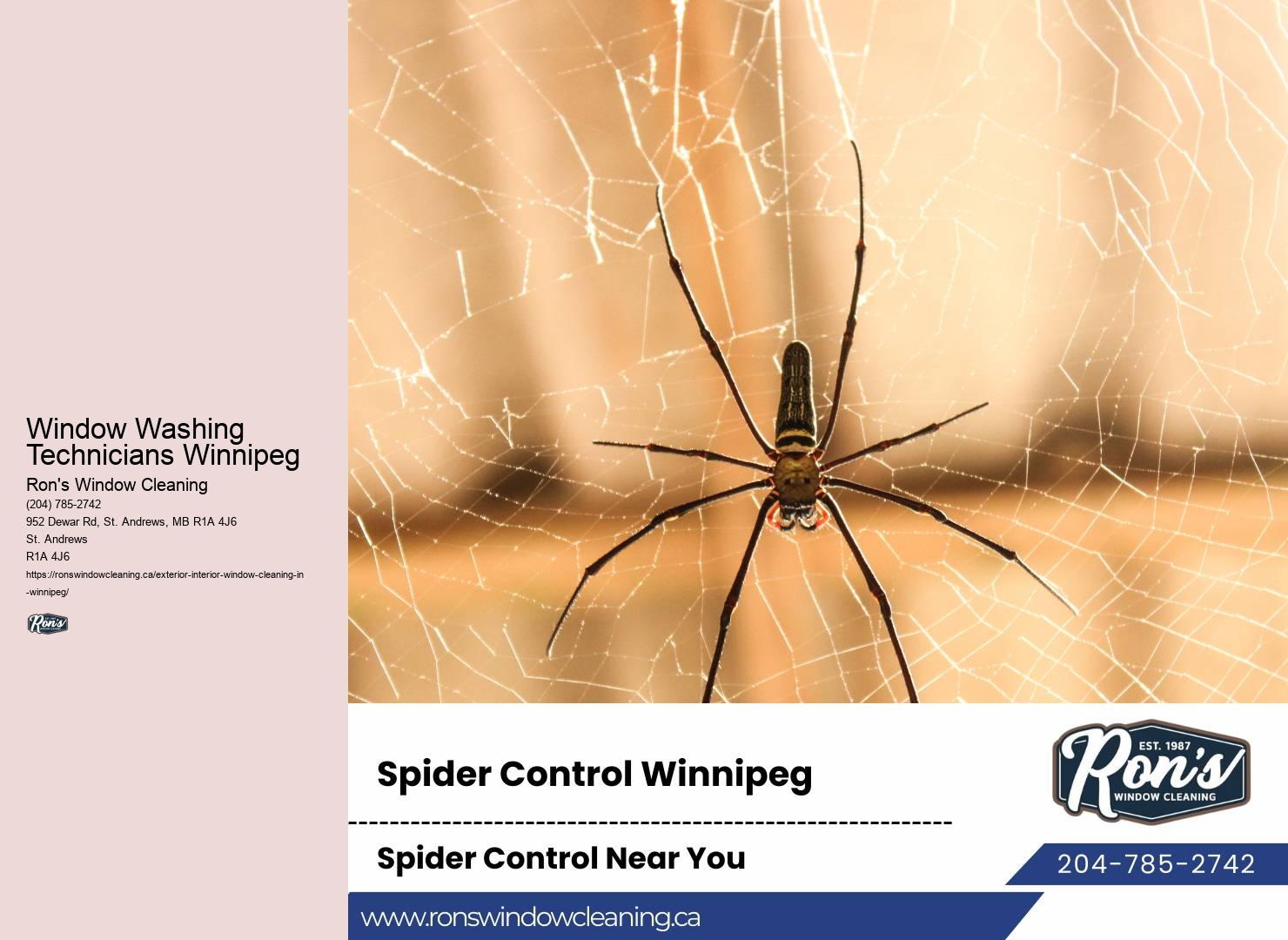Best Window Washing Services Window Washing Technicians Winnipeg
