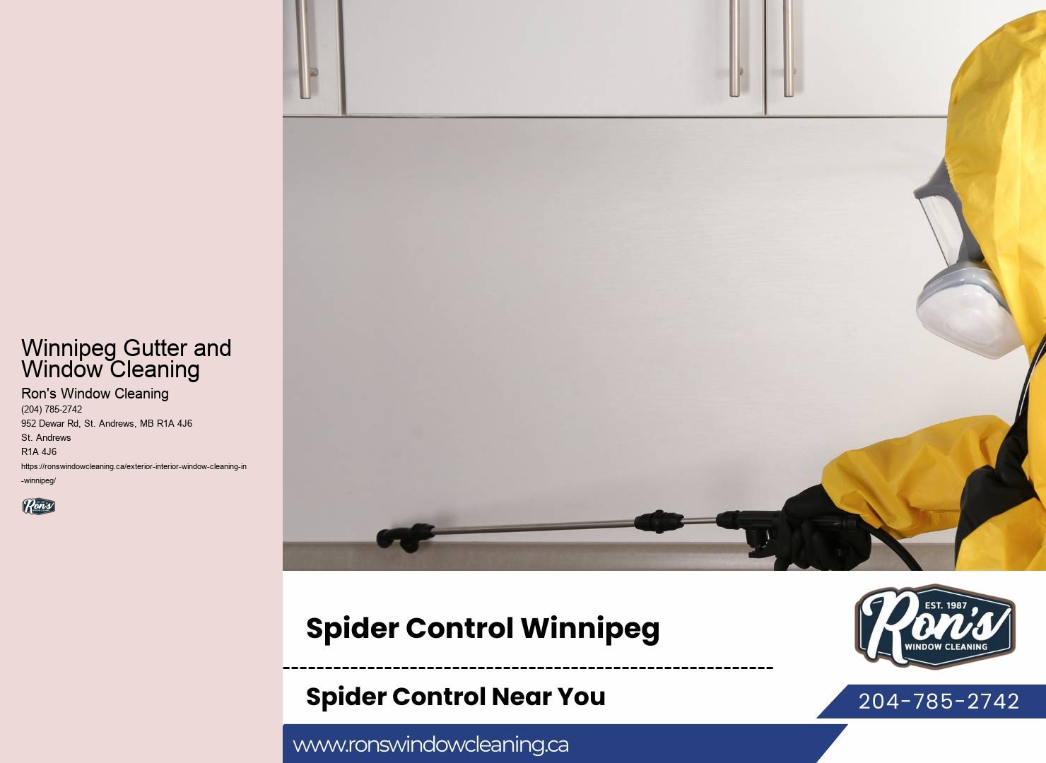 Window Cleaners Near Me Prices Winnipeg Gutter and Window Cleaning