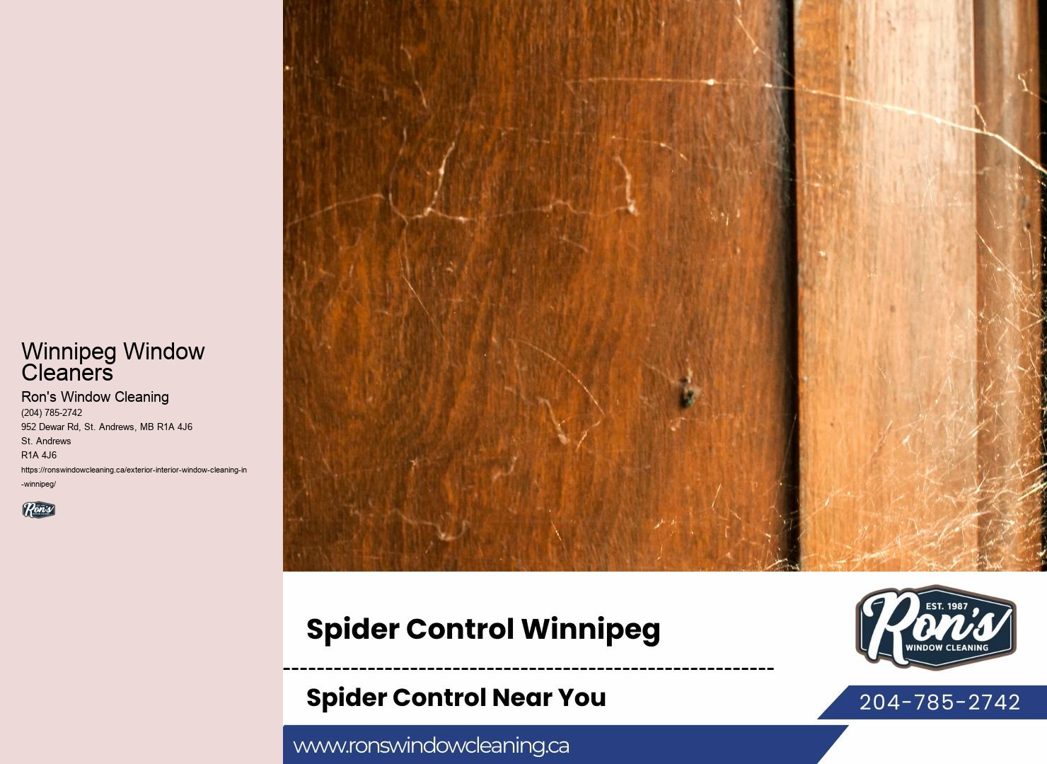 Commercial Window Cleaning Winnipeg Window Cleaners
