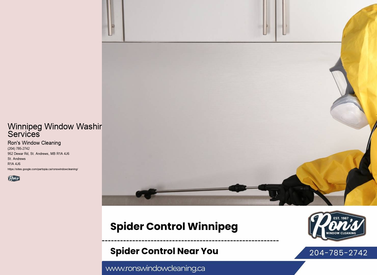 Winnipeg Window Washing Services Window Care Services